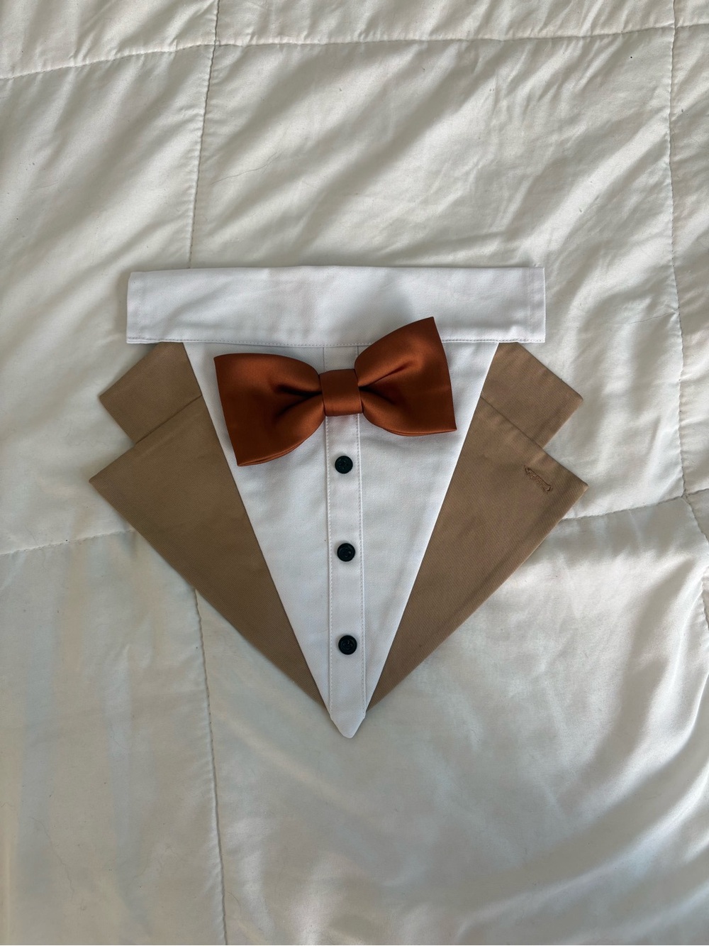 Bow Tie & Tuxedo Bib